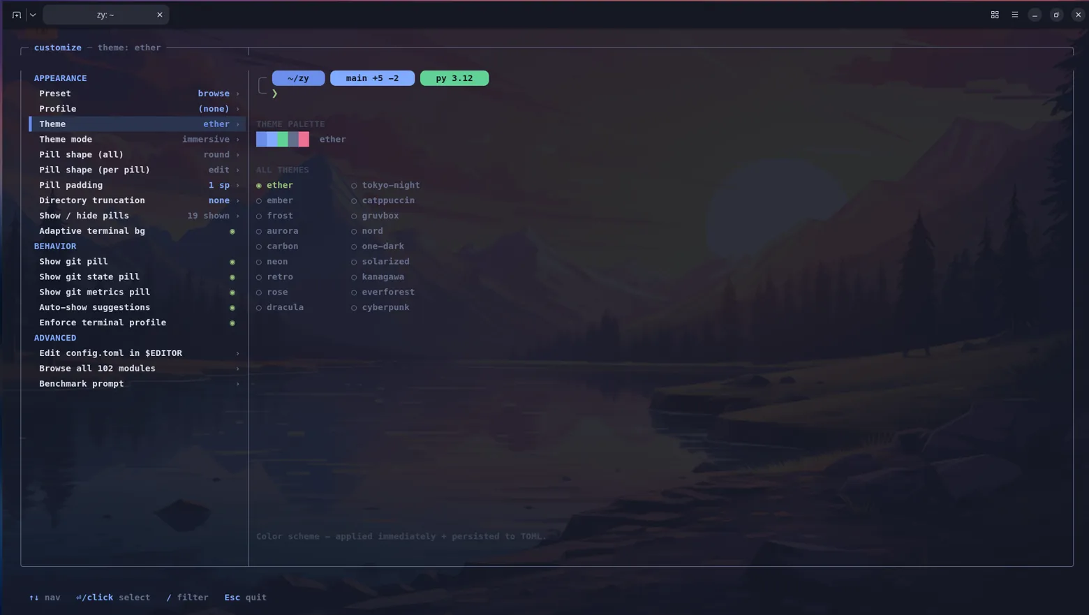 zy customize wizard with live preview